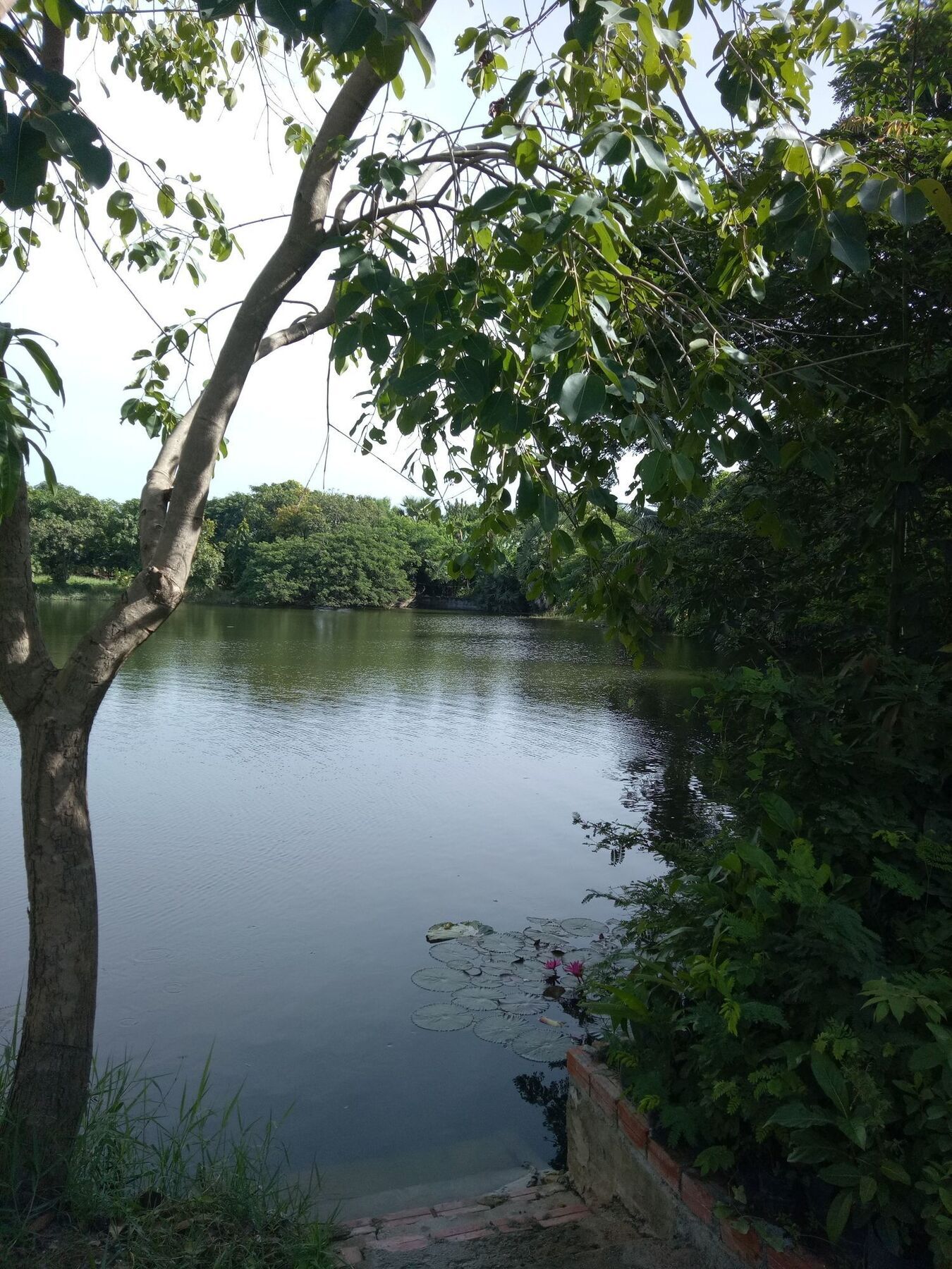 Samathi Lake Resort Phnom Penh Bagian luar foto